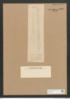 Diatomeae indet. Zeichnungen Sammlung Grunow Nr. 4458 (NHMW-BOT-W0372414)